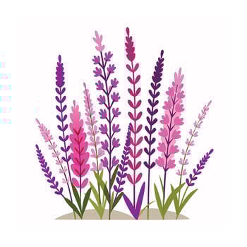 Beautiful Flower Minimalist Floral Illustration vector