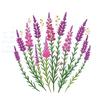 Beautiful Flower Minimalist Floral Illustration vector