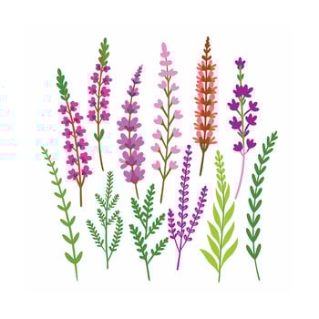 Beautiful Flower Minimalist Floral Illustration vector