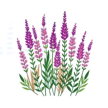 Beautiful Flower Minimalist Floral Illustration vector
