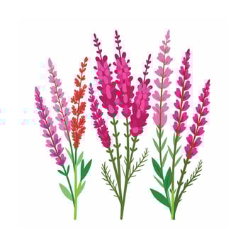 Beautiful Flower Minimalist Floral Illustration vector