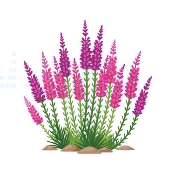Beautiful Flower Minimalist Floral Illustration vector