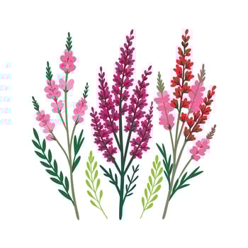Beautiful Flower Minimalist Floral Illustration vector