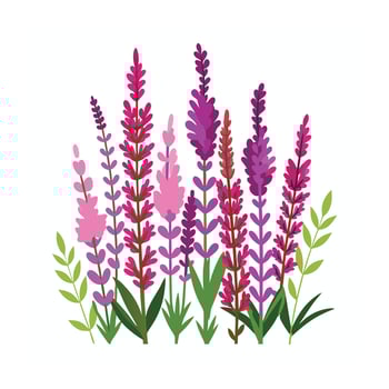Beautiful Flower Minimalist Floral Illustration vector