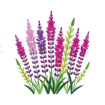 Beautiful Flower Minimalist Floral Illustration vector