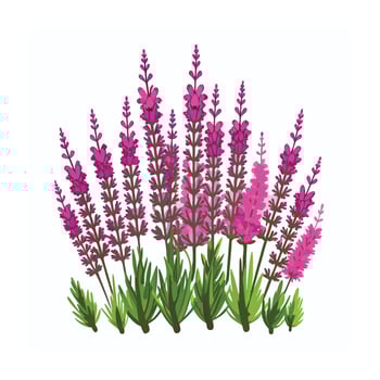 Beautiful Flower Minimalist Floral Illustration vector