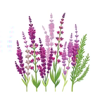 Beautiful Flower Minimalist Floral Illustration vector