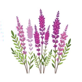 Beautiful Flower Minimalist Floral Illustration vector