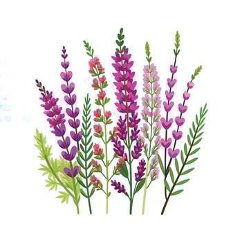 Beautiful Flower Minimalist Floral Illustration vector