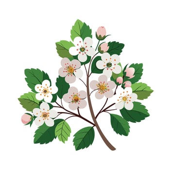 Beautiful Flower Minimalist Floral Illustration vector