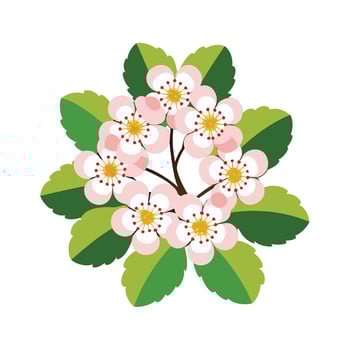 Beautiful Flower Minimalist Floral Illustration vector