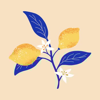 Branch flowering lemon with fruits. Summer exotic and tropic elements. Print for card, t shirt, decor. vector