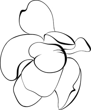 romantic Magnolia flower. Blooming graphics flora. Paris springtime. Hand drawn line. Black circuit silhouette vector