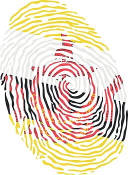Fingerprint colored with the national flag of Brunei vector