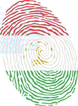Fingerprint colored with the national flag of Tajikistan vector