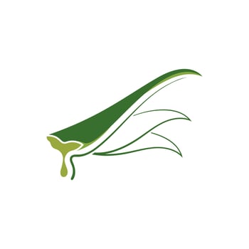 Aloe Vera logo icon design symbol beauty vector