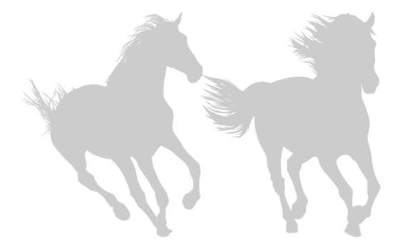 Pair Horse Silhouette, flat style, can use for Logo Gram, Art Illustration, Emblem, Pictogram, Apps, Website or Graphic Design Element png