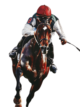 jockey with horse standing alone with a transparent background png