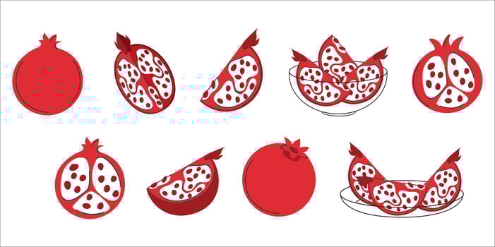 Set of pomegranate fruits.Whole, cutted, slice, piece. Healthy summer food vector