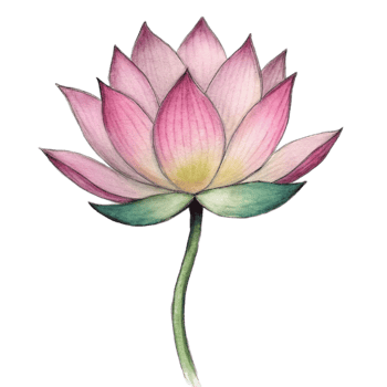 aigenerated a pink lotus flower png