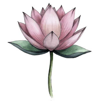 aigenerated a pink lotus flower png