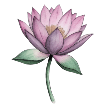 aigenerated a pink lotus flower png
