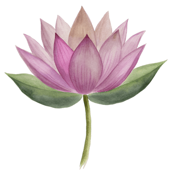 aigenerated a pink lotus flower png