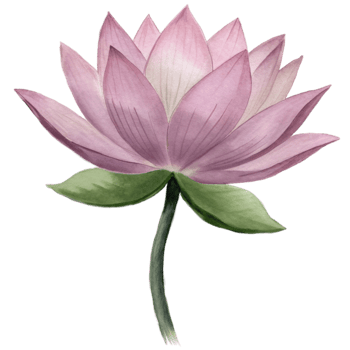aigenerated a pink lotus flower png