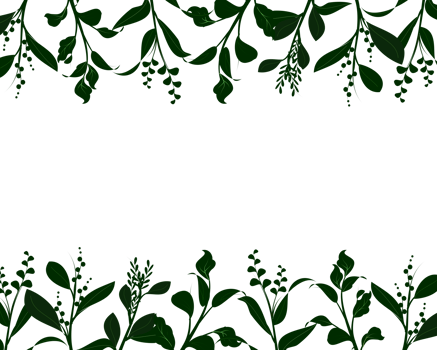 Decorative illustration plant frame border on transparent background png