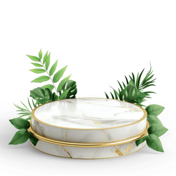 a green plant on a marble pedestal with on transparent background png