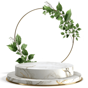 a green plant on a marble pedestal with on transparent background png
