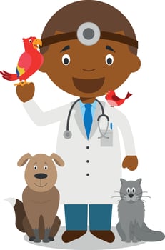 Cute cartoon illustration of a black or african american male veterinarian. vector