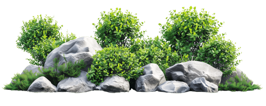 cluster of large rocks are surrounded by an abundance of verdant foliage isolated on transparent background png