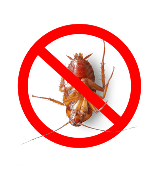 cockroach with no symbol png