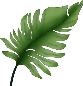 Fern Leaves Painting Illustration png