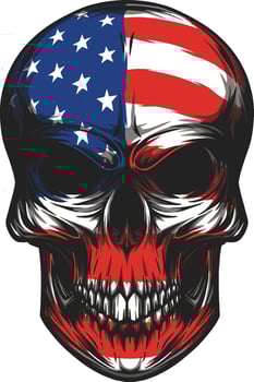 skull with american flag texture vector
