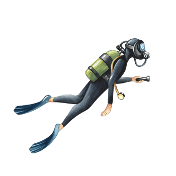 The diver swims underwater. Underwater travel. Watercolor hand drawn. Concept for label, banner, flyer, brochure. png