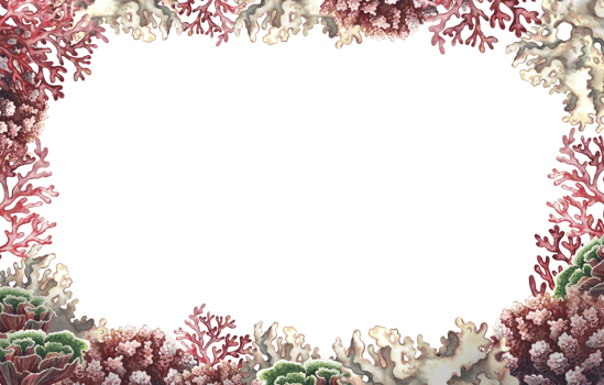 Coral frame. Undersea world. Watercolor hand drawn. Aquarium, tropical reef. Concept for label, business card and banner png