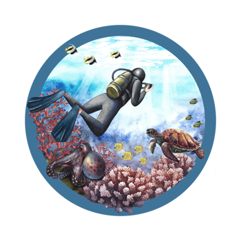 The diver swims underwater at the bottom of the sea. Underwater travel. Watercolor hand drawn. Concept for label, magnet png