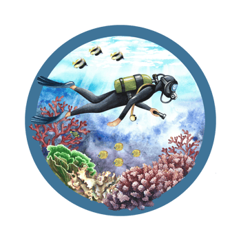 The diver swims underwater at the bottom of the sea. Underwater travel. Watercolor hand drawn. Concept for label, magnet png