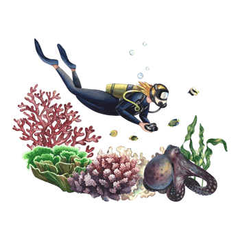 Girl diver swims underwater. Watercolor hand drawn illustration. Composition. For label, magnet, business card and banner, flyer and brochure. For prints, stickers, postcards. png
