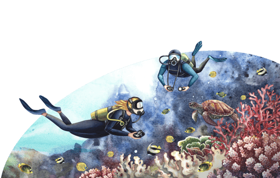 Divers swim underwater. Underwater travel. Watercolor hand drawn. Against the backdrop of an underwater seascape. png