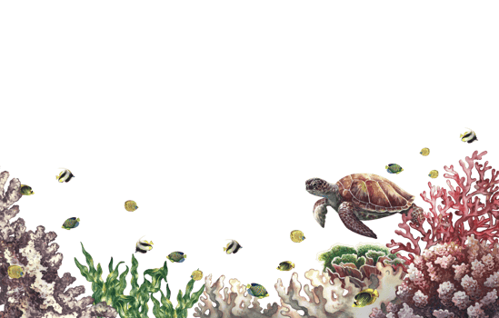 Underwater world. Watercolor hand drawn. For background for labels, business cards and banners png