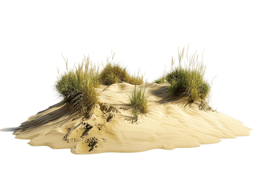 Desert isolated on transparent background png