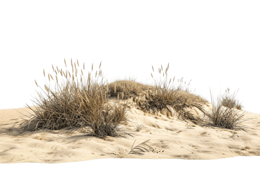 Desert isolated on transparent background png