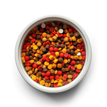 a bowl of colorful dog food on transparent background png