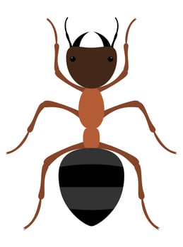 flat style insects wildlife animals illustration isolated on white background vector