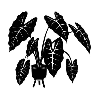 Alocasia potted plant silhouette icon. Black color indoor houseplant in a flowerpot. Botanical floral element in a pot for home decor. Flat monochrome illustration isolated on white background. vector