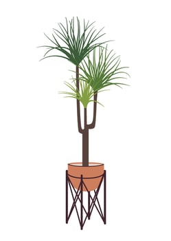 Tropical houseplant in flower pot. Green indoor potted plant in flowerpot. Trendy office and home plant for interior decoration. Flat flower illustration isolated on a white background. vector