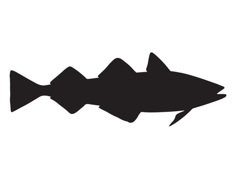 Alaska pollock fish silhouette vector